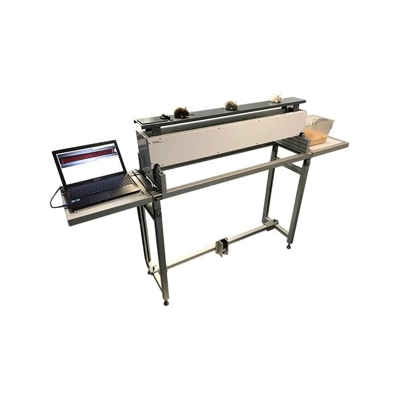 Automatic Ladder Test