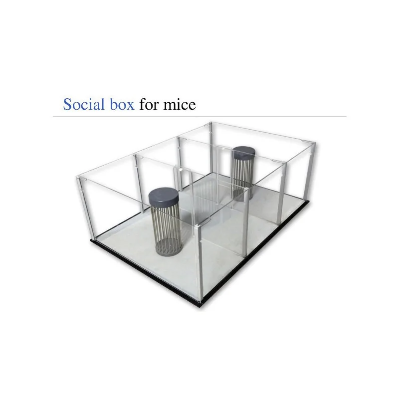 Social Box