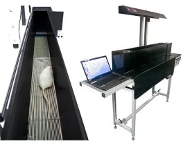 Kinetic Weight Bearing