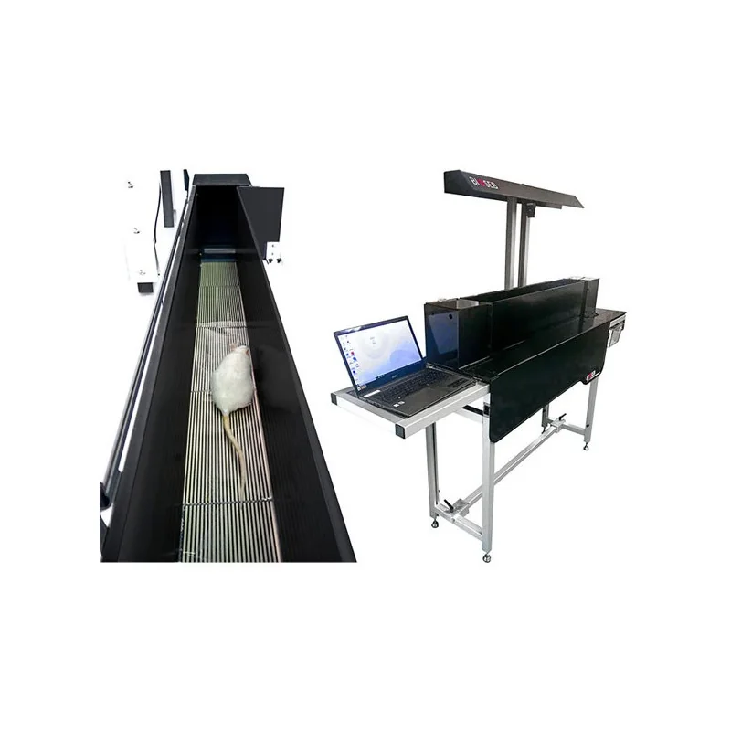 Kinetic Weight Bearing