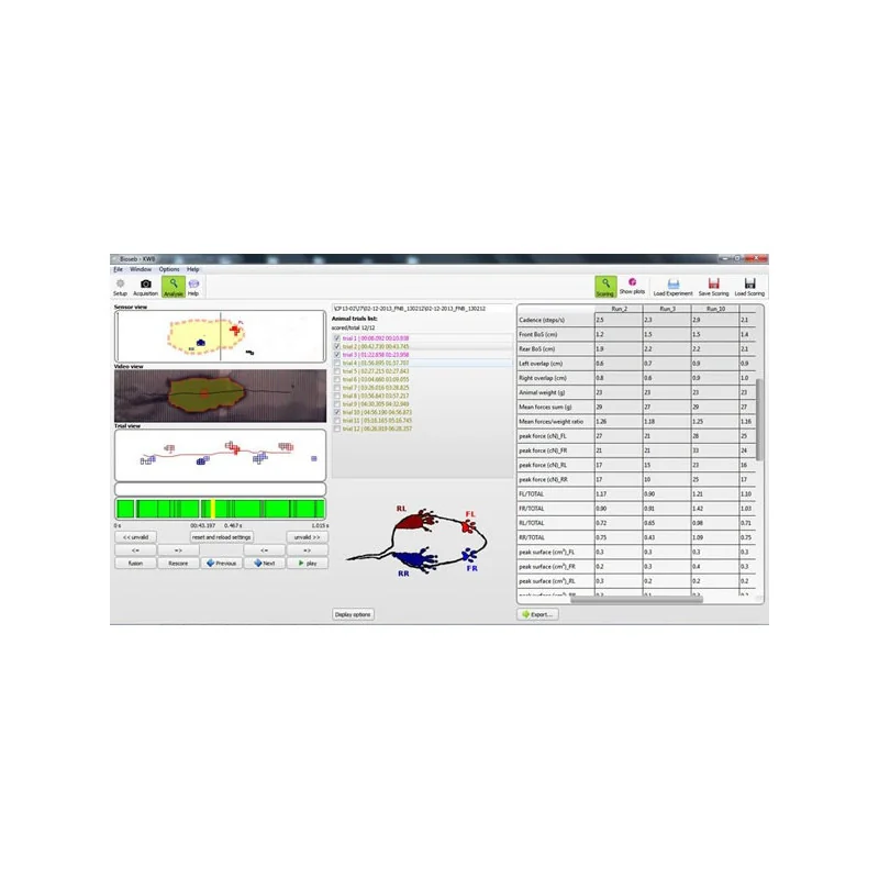 Bioseb's Kinetic Weight Bearing: KWB Software Screenshot