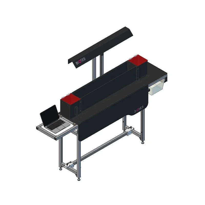Bioseb's Kinetic Weight Bearing: System overview