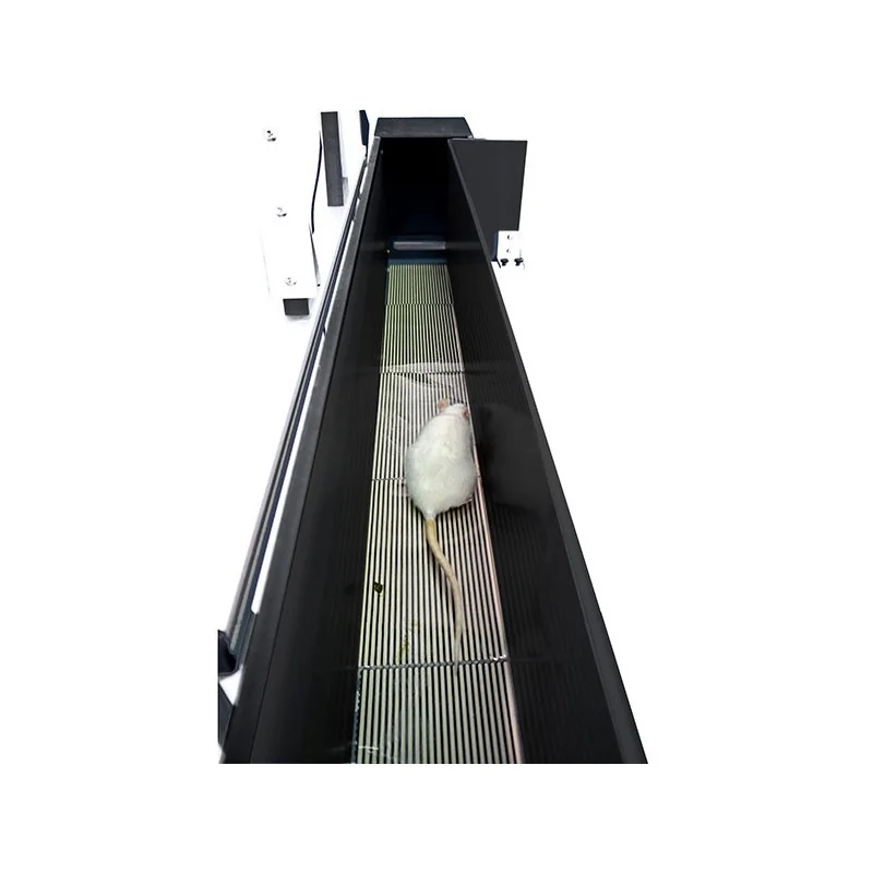 Bioseb's Kinetic Weight Bearing: System overview