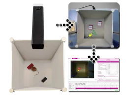 Novel Object Recognition Test 3D