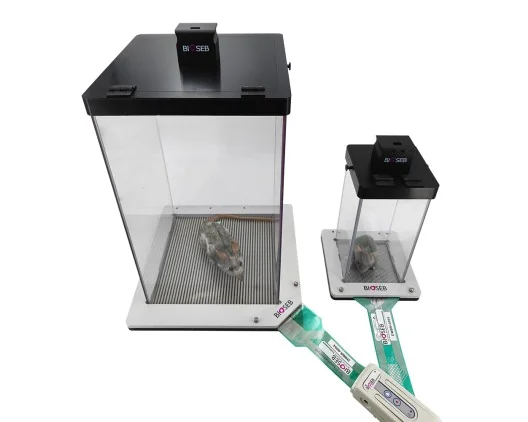 Dynamic Weight Bearing 2.0 - Rats and mice