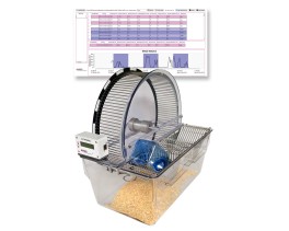 Premium spontaneous activity wheels