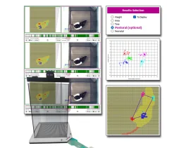 Dynamic Weight Bearing 2.0 – Postural Module [Add-on]