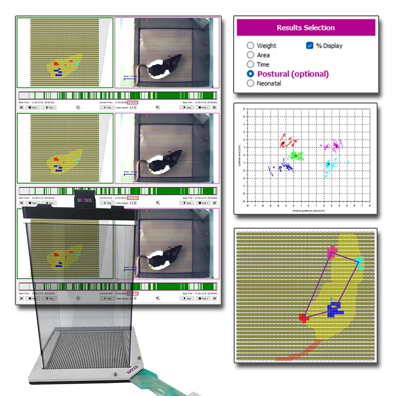 Postural Module [Add-on]