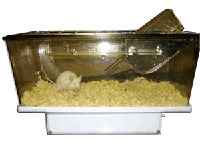 ACTIV-METER- un actimètre innovant