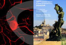 Meet Bioseb at incoming Pain Events and Conferences