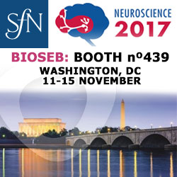 SfN Meeting 2017 in Washington- DC