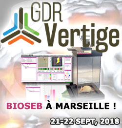 Meeting GDR Vertige à Marseille
